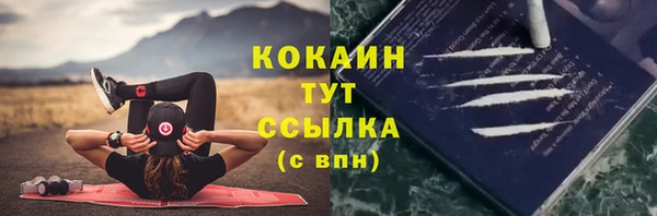 ПСИЛОЦИБИНОВЫЕ ГРИБЫ Навашино