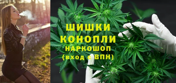 ПСИЛОЦИБИНОВЫЕ ГРИБЫ Навашино