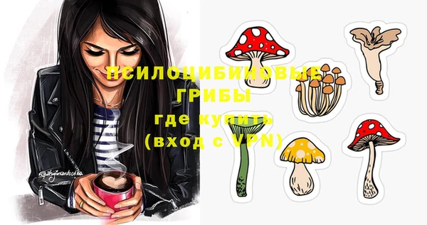 ПСИЛОЦИБИНОВЫЕ ГРИБЫ Навашино
