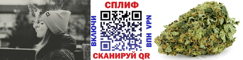 Шишки марихуана THC 21%  Купить закладки  Алзамай 